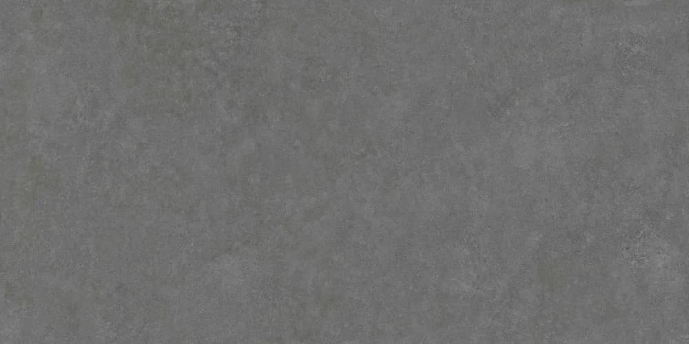 Arcides Grey, Bild 3 von 4