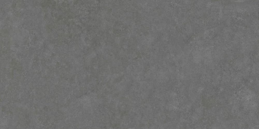 Arcides Grey, Bild 4 von 4