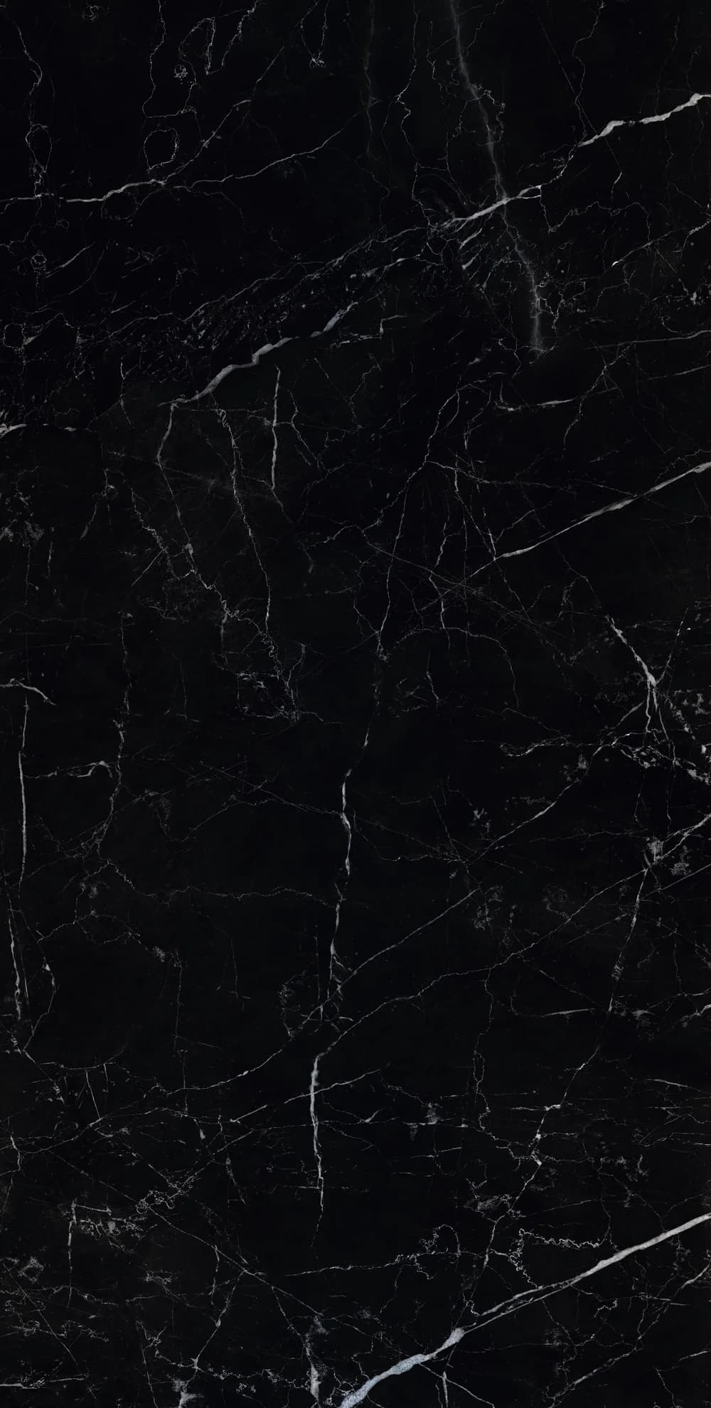Sombra Black, Bild 3 von 4