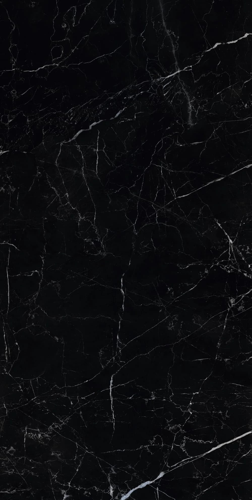 Sombra Black, Bild 4 von 4