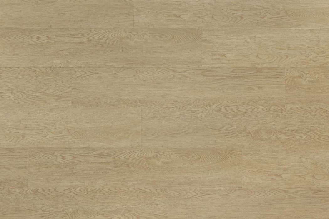 Woodric Acoustic - Eiche Genova, Bild 3 von 4