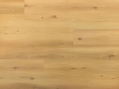 Amaron Superiore ACOUSTIC - EICHE BEATRICE