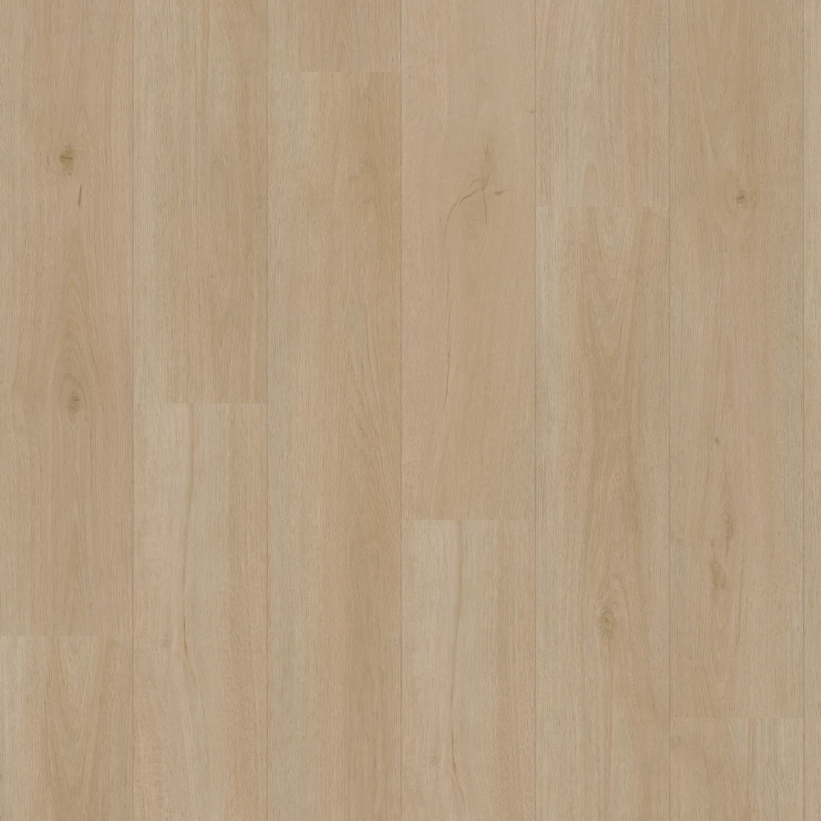 Eiche 7230 Klebe, Bild 3 von 3