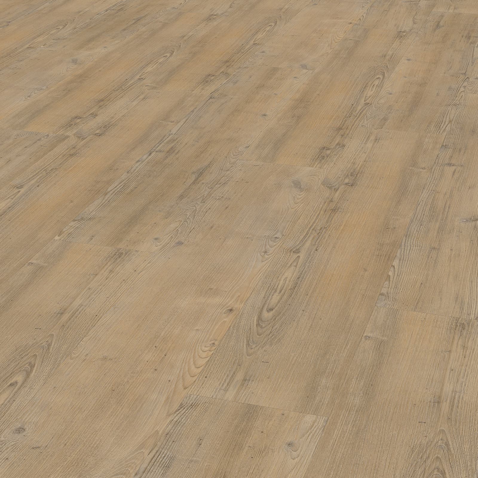 Nadelholz 4203 Klick
